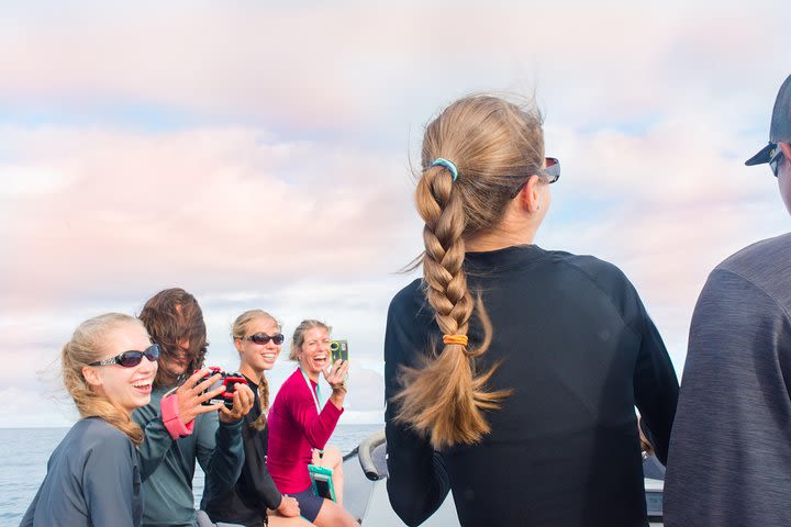 RAFT ADVENTURE - Whale Watch Discovery image