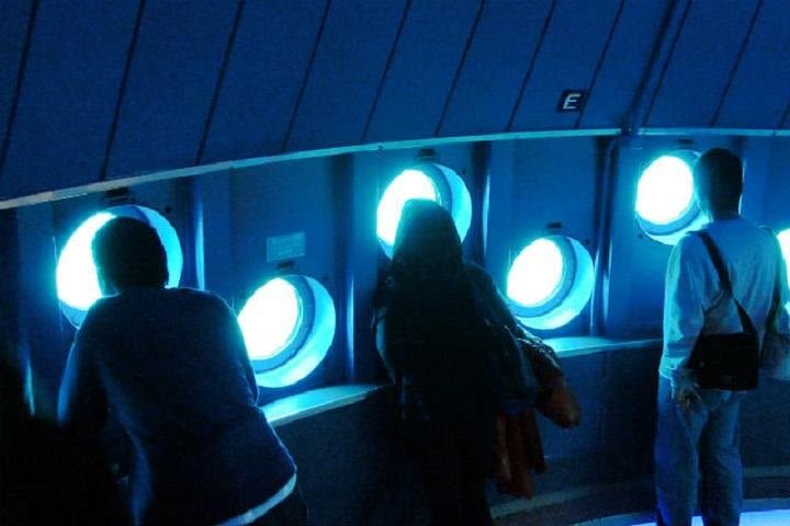 [20% discount] Kushimoto Marine Park Aquarium + Underwater Observation Tower Admission Coupon image