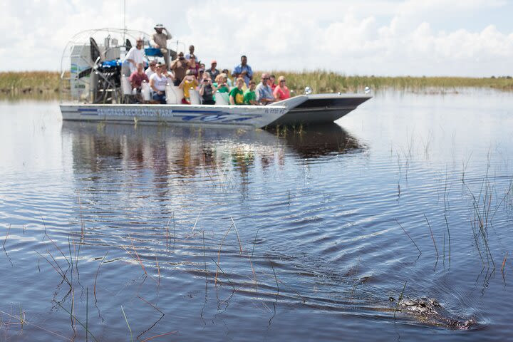 Everglades Admission Ticket with Airboat Ride and Wildlife Show image