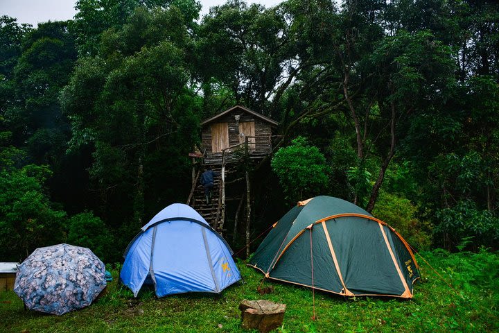 Kohima & Khonoma Camping Tour image