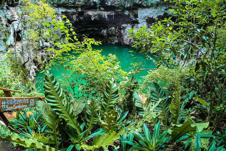 Experience Los 7 Cenotes with lunch and bike ride (Transportation not included). image