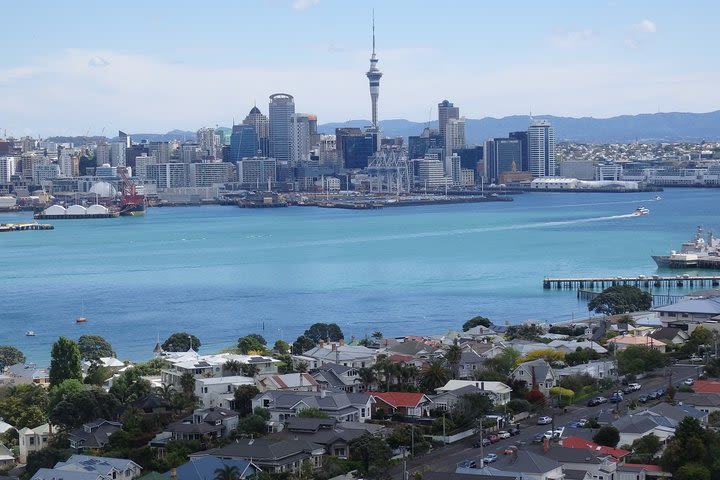 Shore Excursion: Half Day Small Group Auckland Scenic Tour - 4 HOURS image