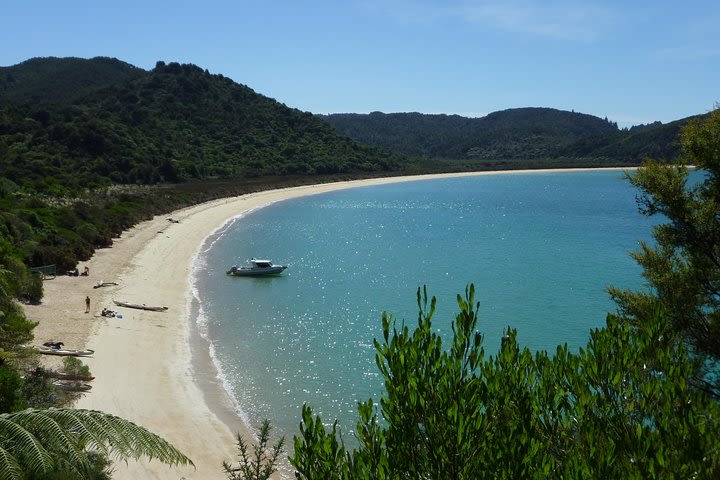 Top of the South Island 11 day Package image