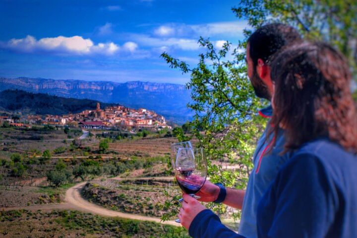 Private Wine and Oil Tour in the Priorat Wine Region image