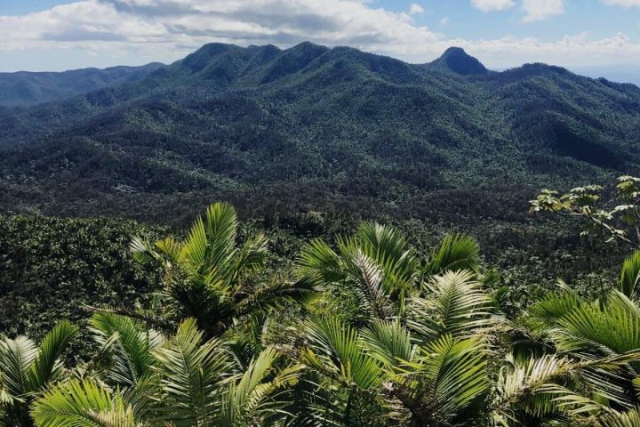 El Yunque Rainforest Adventure image