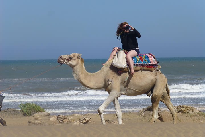 Surf Yoga and Hike Morocco - Private Tour image