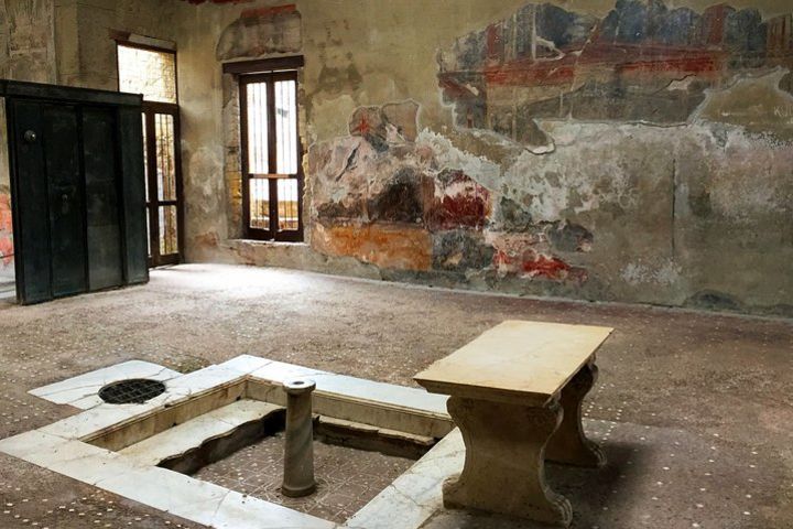 2.5 hour guided tour for small group in the Herculaneum excavations image