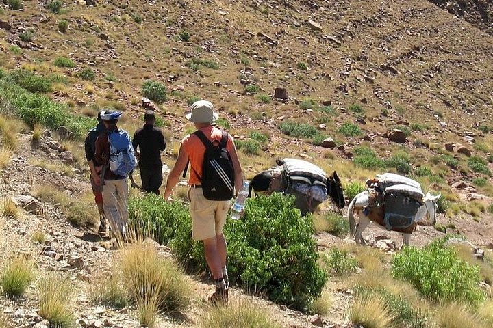 Half day trekking Between Atlas mountains and secret paradise in Agadir image