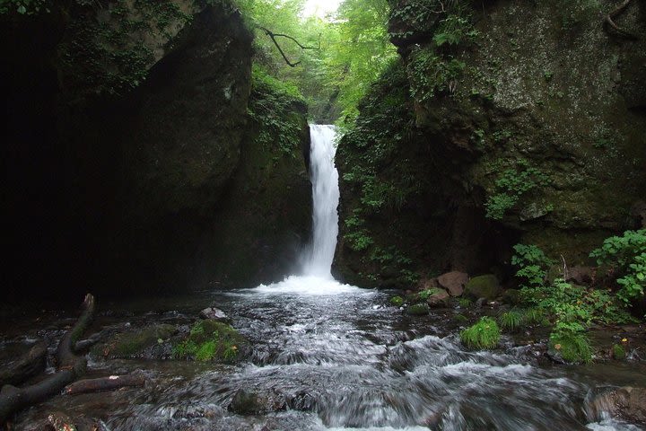 Relax and refresh in Karuizawa Forest! Shinanoji down trekking around two people image