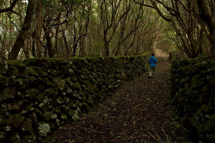 Hiking in the Azores Islands image