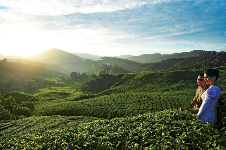 Private Nature Trip to Cameron Highlands image