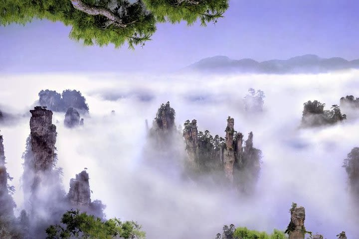 Three Days Highlights Tour in Zhangjiajie image