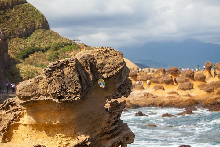 Half Day Private Tour to Yangmingshan National Park and Yehliu Geopark image