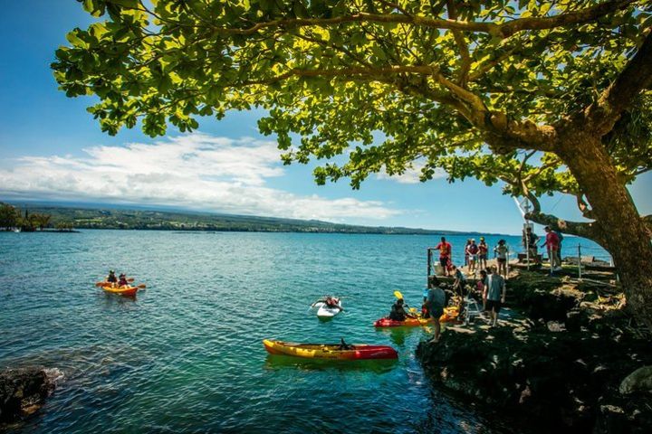 Historic Hilo Bay Waterfalls by Kayak image