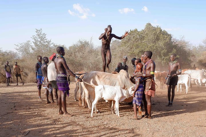 South Omo Valley in 4 Days, Ethiopia image