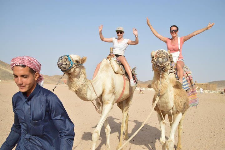 Super Safari Quad Bike, Camel Ride & Bedouin Diner in hurghada image