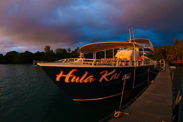 Manta Ray Night Snorkel Tour from Kona image