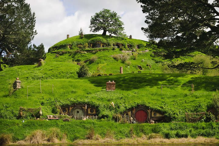 Sanctuary Mountain (Mt Maungatautari) & Hobbiton Day trip from Auckland image