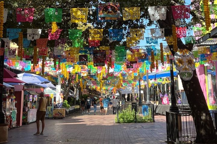 San Antonio Hop-On Hop-Off Trolley Tour image
