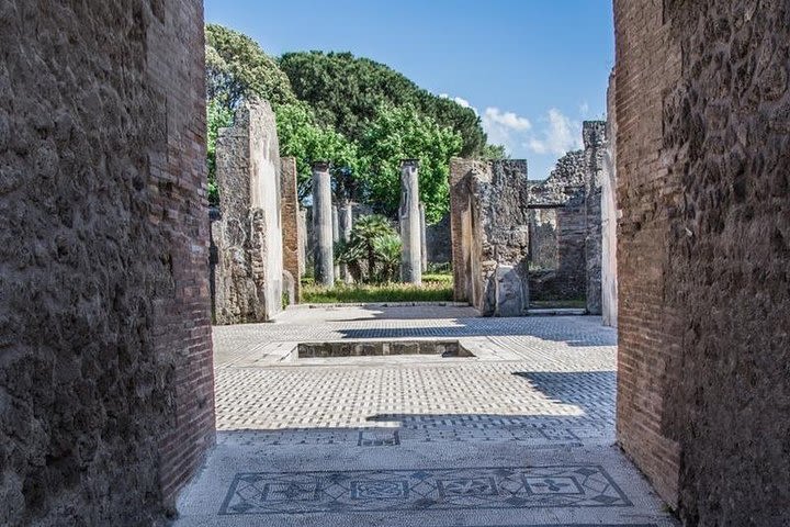 From Sorrento Coast - Pompeii drive tour with official Archaelogical Guide -  image