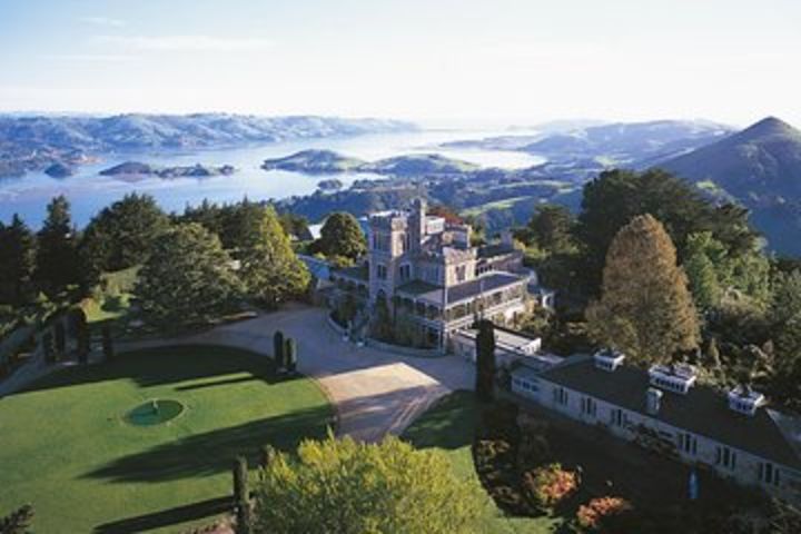 Dunedin Shore Excursion: Half-Day Wildlife and Larnach Castle Tour image