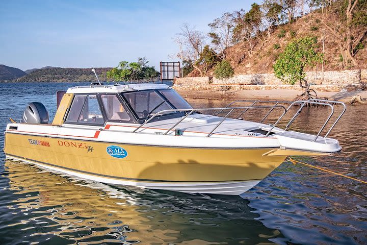 Private Speedboat Rental Coron Island Tour image