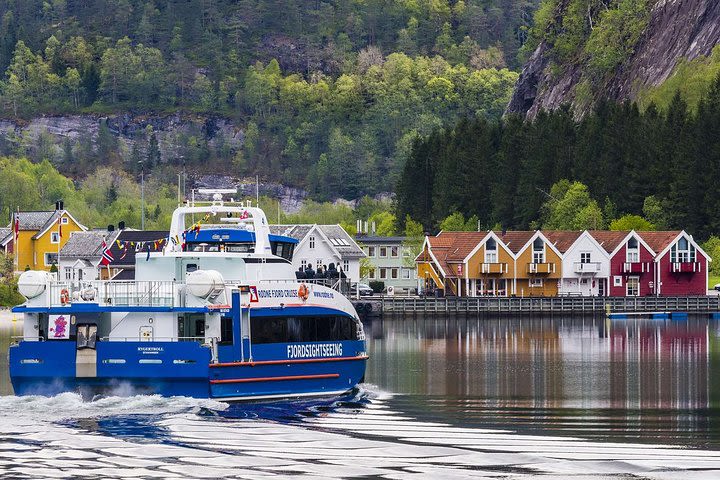 Mostraumen and Osterfjord Cruise - All year from Bergen  image