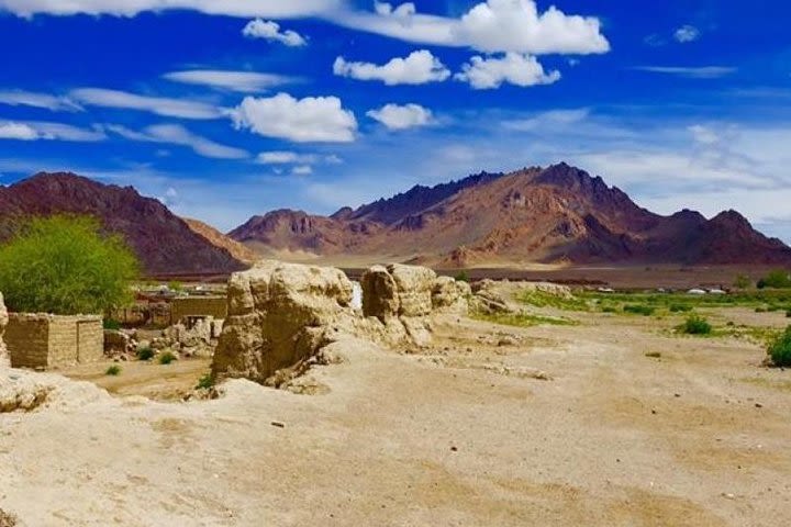 7 days Great Gobi Tour  image