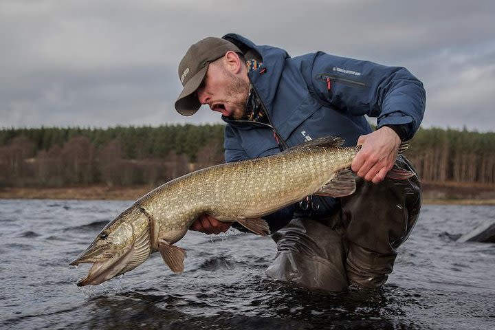 Fly Fishing for Pike in Scotland image