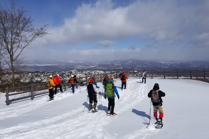 -Snow mountain hiking at the foot of Asama- Karuizawa Snowshoe Tour image