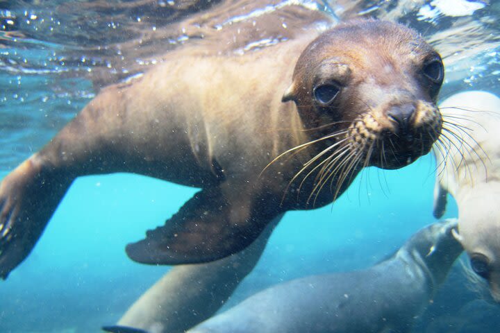 Day Yacht Tour to Santa Fe Island and Hidden Beach with snorkeling and fishing image