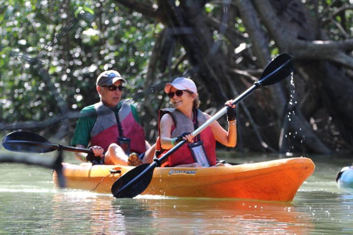 Damas Island Kayaking Mangrove Tour from Manuel Antonio image