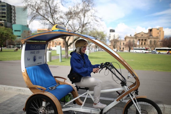 Historic Adelaide & Architecture 90- minute Pedicab Experience image