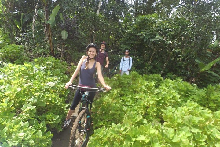 Discover An Enchanting Banyumala Twin Waterfall by Bike image