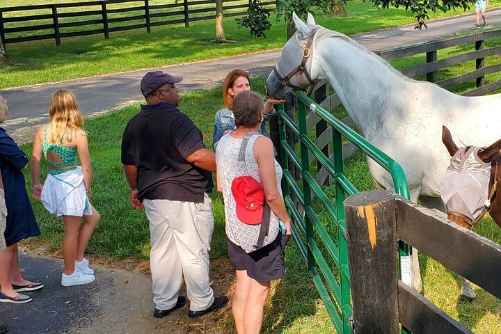 Unique Horse Farm Tours with Insider Access to Private Farms image