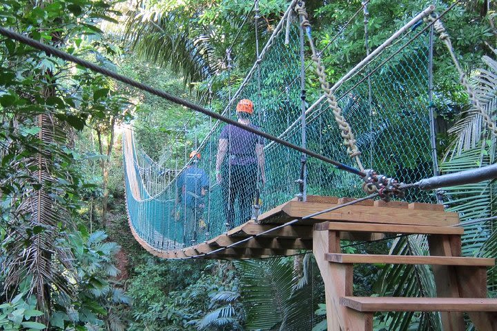 Zipline & Water Rappelling at Bocawina  image