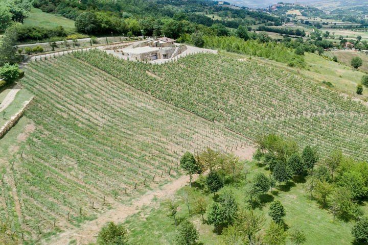 Visit and tasting in the il Patriota's winery, the Classic Method in Casentino image