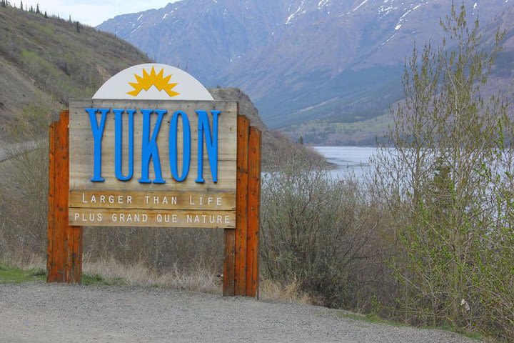 Half-Day Yukon Sightseeing Shore Excursion from Skagway image