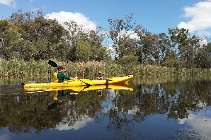 Kayak Tour on the Canning River image