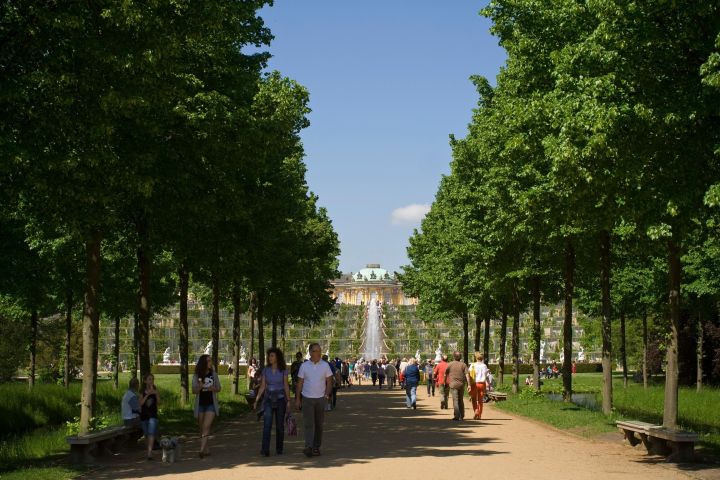 Potsdam Historical Palaces Tour image