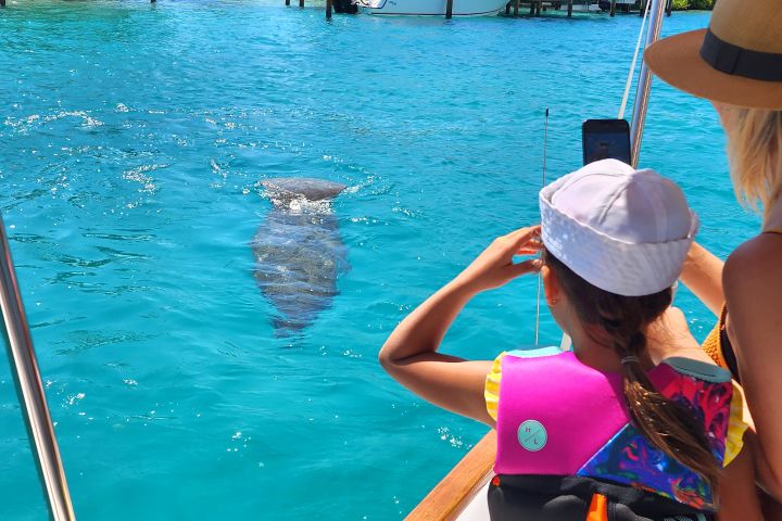 Palm Beach Narrated Boat Tour - Public Tour image