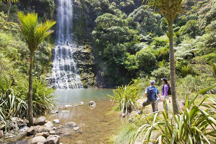 Private Auckland Luxury Tour image