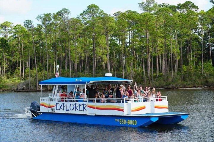 2-Hour Dolphin and Nature Eco Tour from Orange Beach image