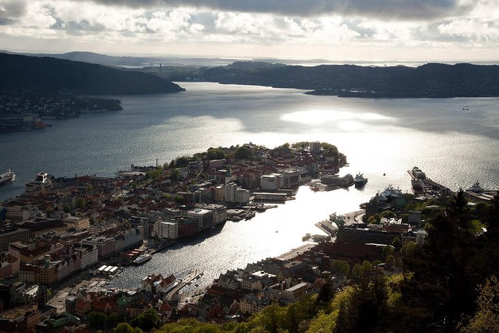 PRIVATE TOUR: Bergen city sightseeing, 4 hours image