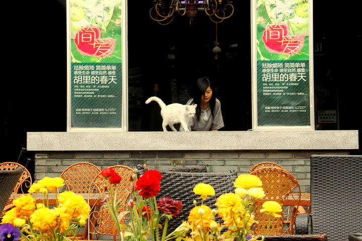 Half Day Private Chengdu City Highlights Tour By Metro image