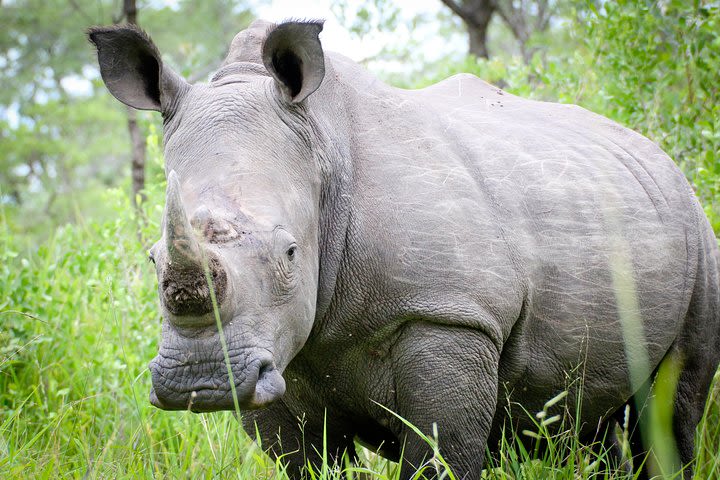 Zziwa Rhino sanctuary Full package image