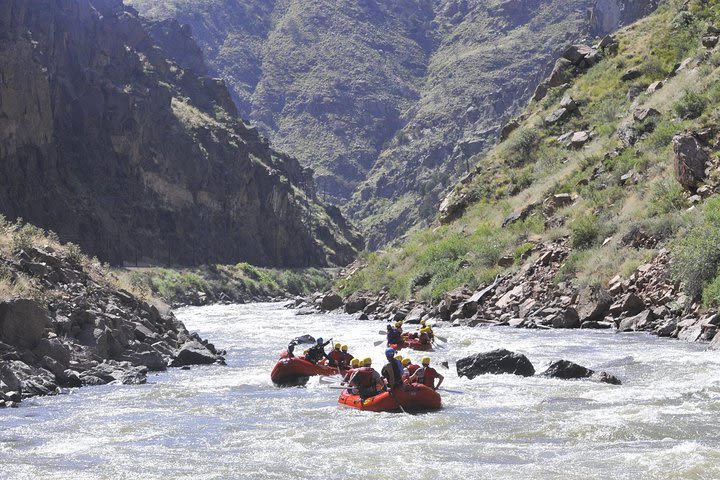 Arkansas River Half Day Royal Gorge image