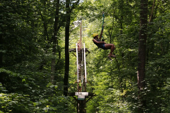 Zipline Canopy Tour image