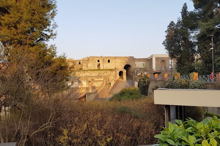  Pompeii & Herculaneum Guided Tour w/ Driver & Minivan + English-Speaking guide image