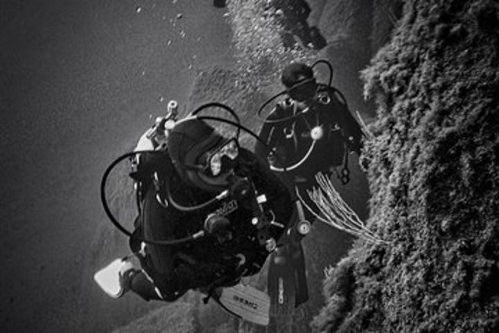 package of 2 single dives in the Capo Carbonara Marine Protected Area image